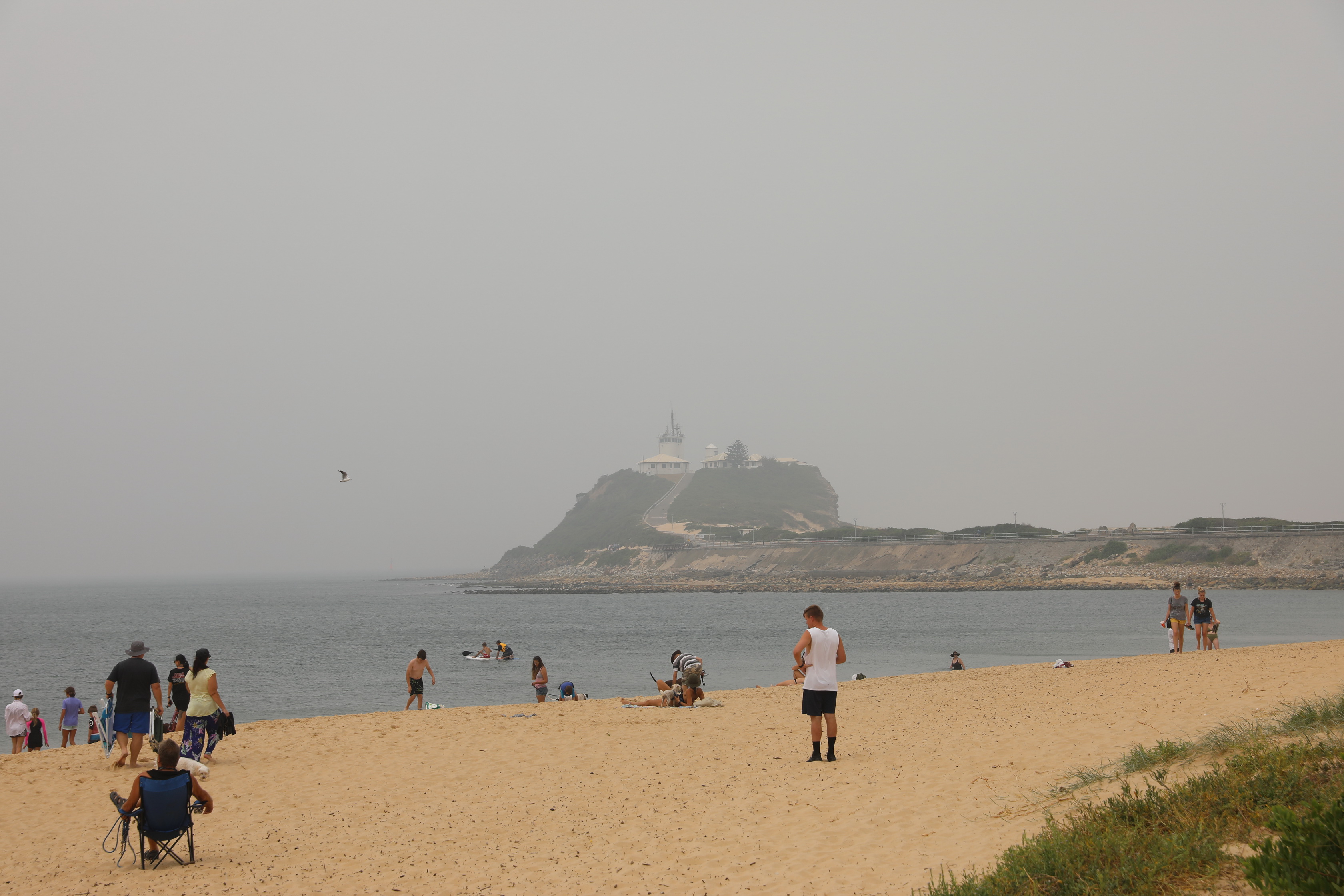 2020 01 08 13 56 24 Canon EOS 5D Mark IV 0016